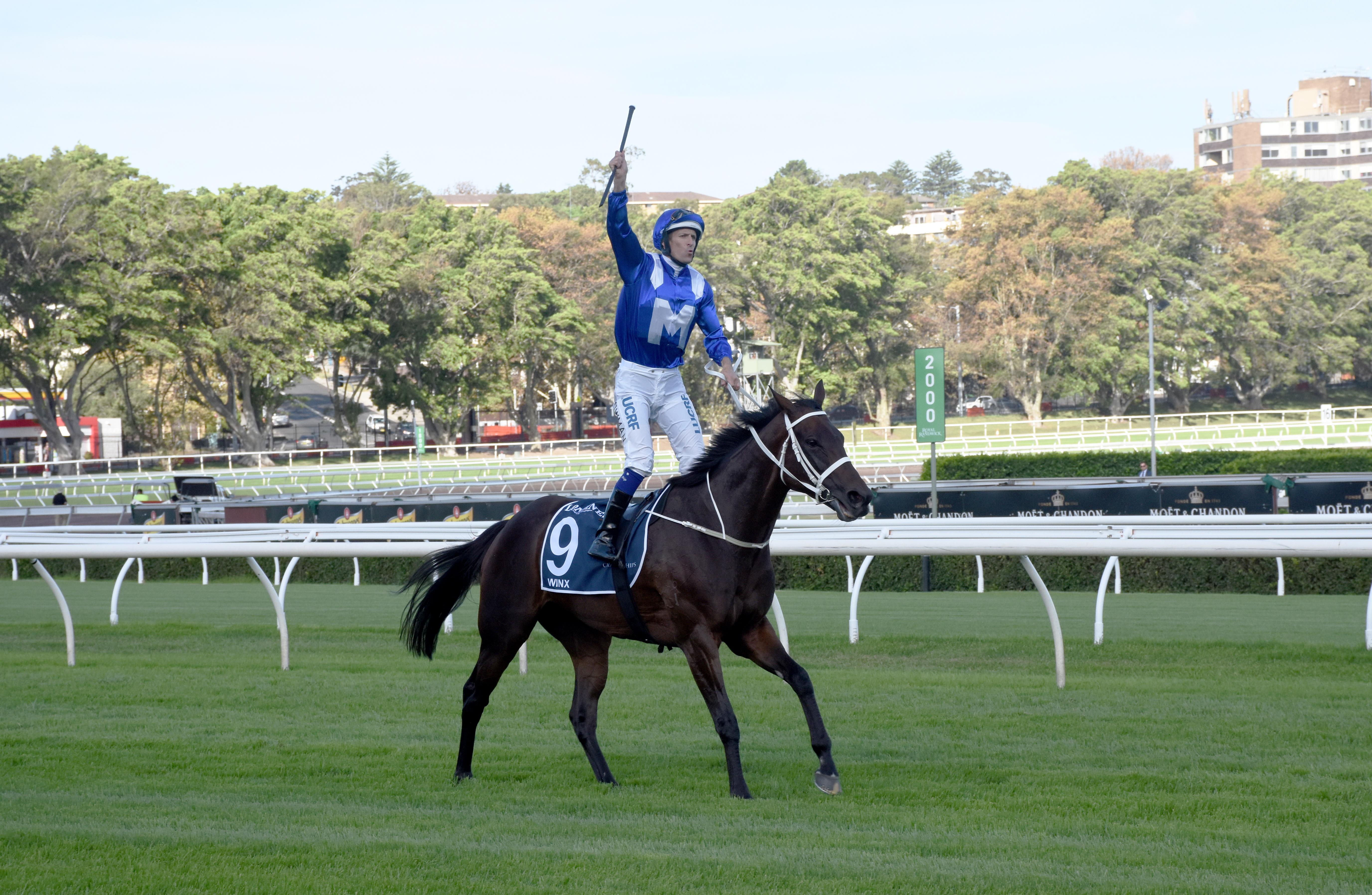 Winx and jockey Hugh Bowman after their win.